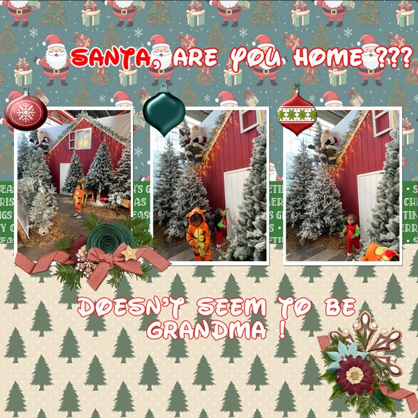 2025 Santa are you home_deBoet_WFDStyles25-12 copy.jpg