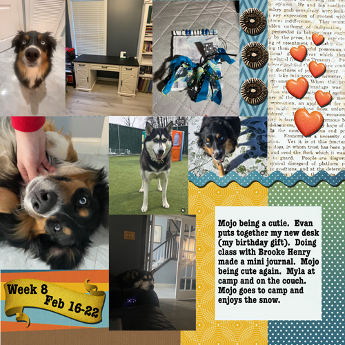 2025 week 8