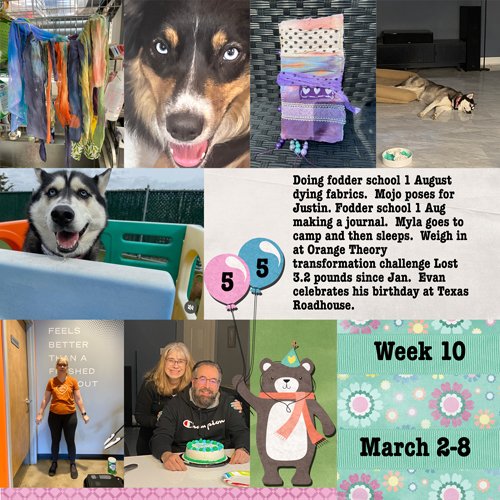2025-week10.jpg