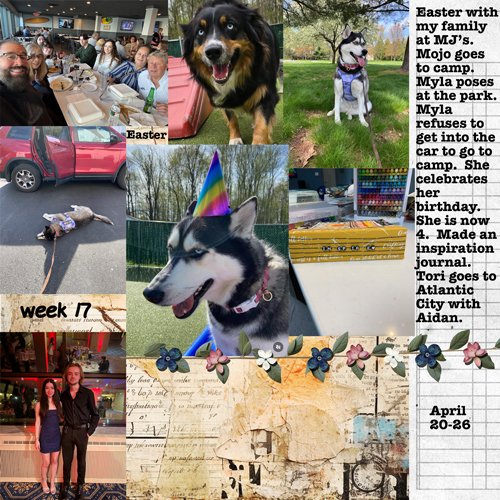 2025-week17.jpg