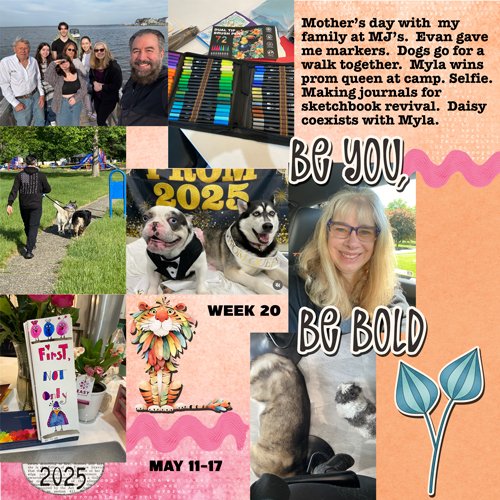 2025-week20.jpg