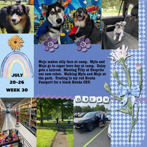 2025-week30.jpg