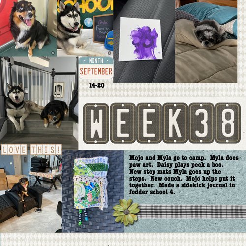 2025-week38.jpg
