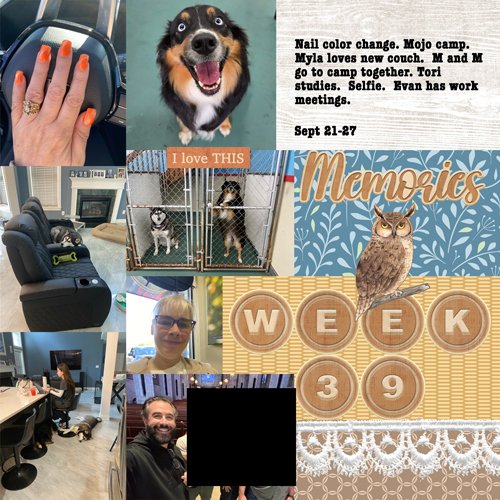 2025-week39.jpg