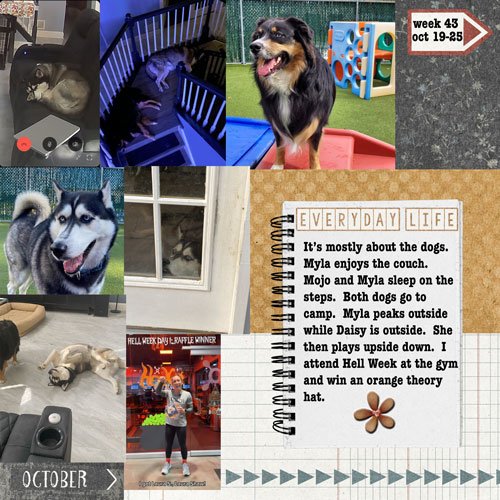 2025-week43.jpg