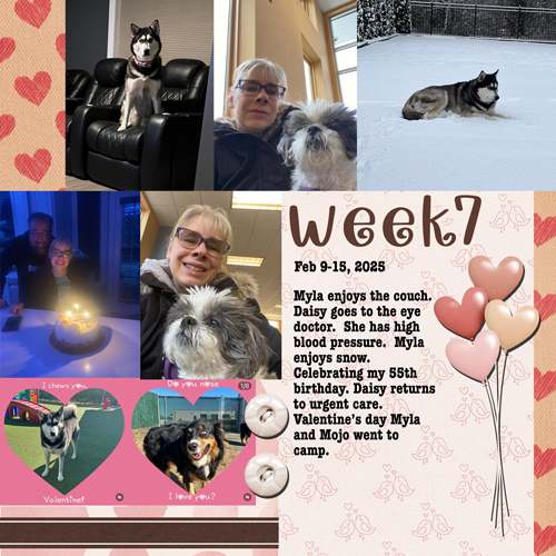 2025-week7