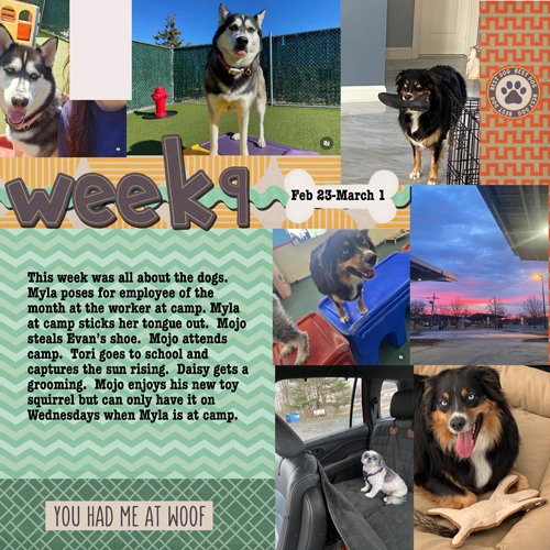2025-week9.jpg