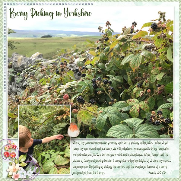 20250000-Luke-Berry-Picking-20250810.jpg