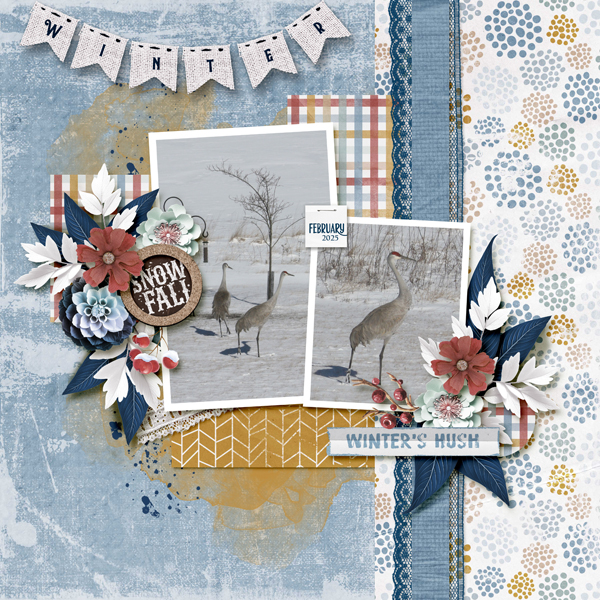 202502 Designer Spotlight - JBS