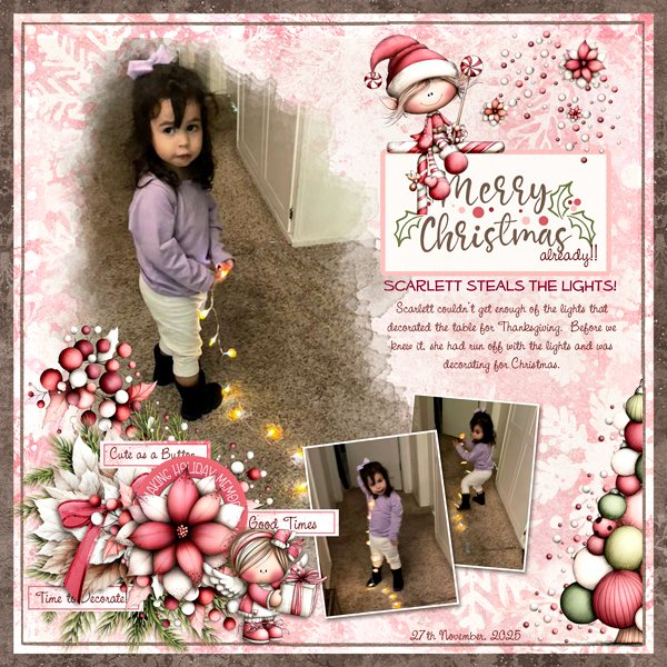20251127-Little-Light-Thief-20251201.jpg