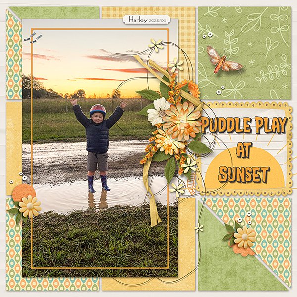 2025_06_-PuddlePlay-at-Sunset-copy.web.jpg