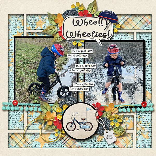 2025_07_Whee--Wheelies-copy.web.jpg