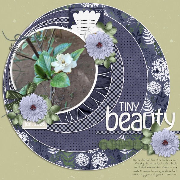 2026-01-07_TinyBeauty
