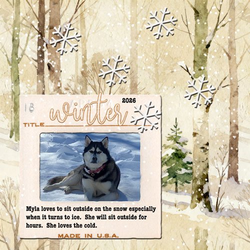 2026-02-05-myla-snow.jpg