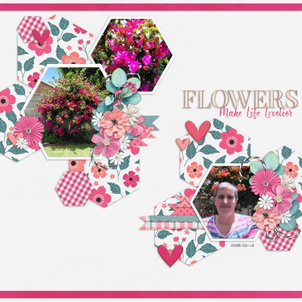 2026-02-16_Flowers