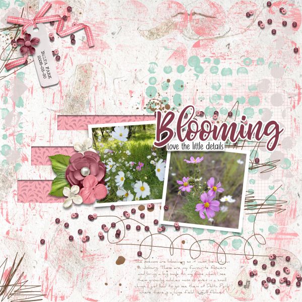 2026-03-30_Blooming