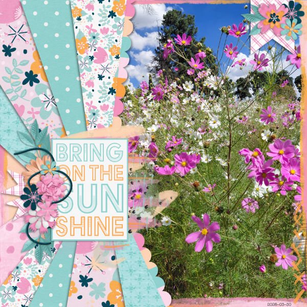 2026-03-30_BringOnTheSunshine