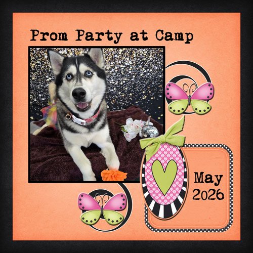 2026-05-myla-prom.jpg