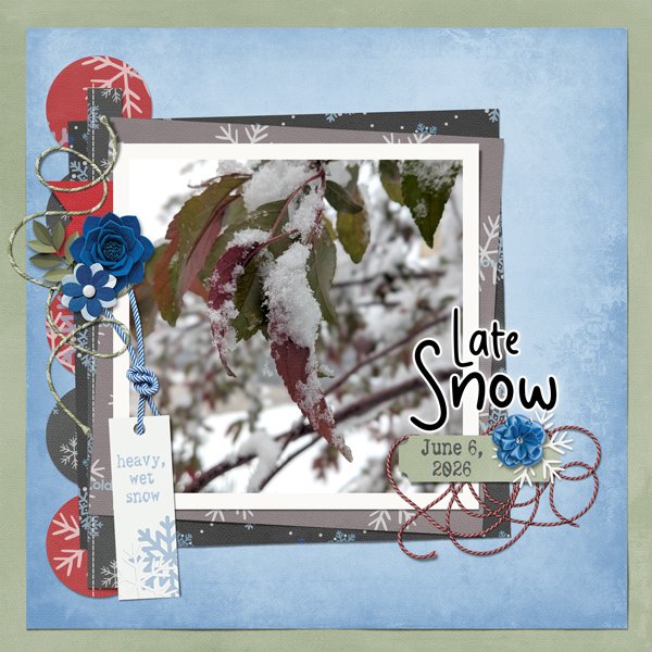 2026-05_wfd_SnowTime_Mfish_Feb2_2018_ChallengeTemp.jpg