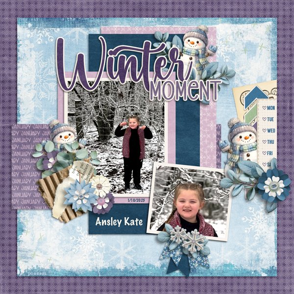 2026-Jan-bundle-and-Temp-3-