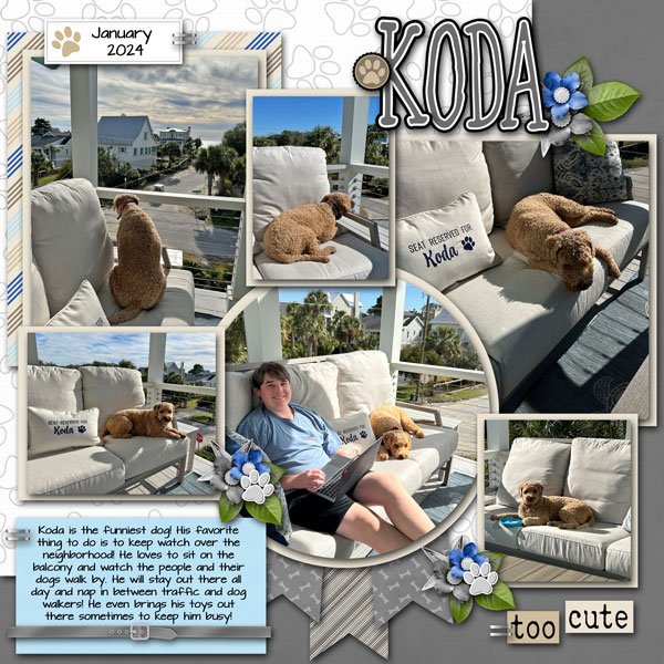 2026 June Color Challenge