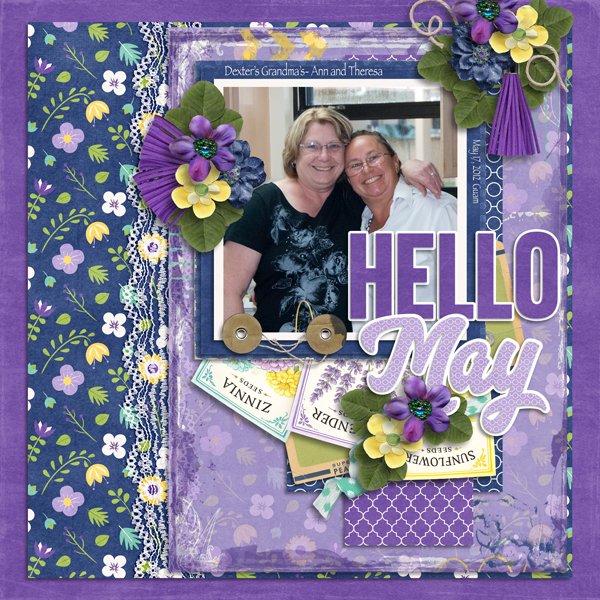 2026 May Bundle by Designs by Connie Prince