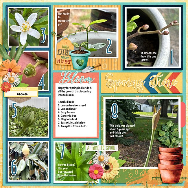 2026-Spring-MFish-BBSpringPockets01_01-copy.jpg