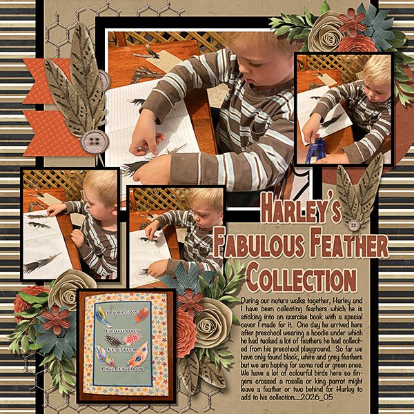 2026_05_Harley's-Feather-Collection-webcopy.jpg