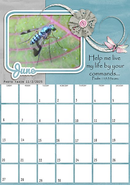2027 Calendar Page for June