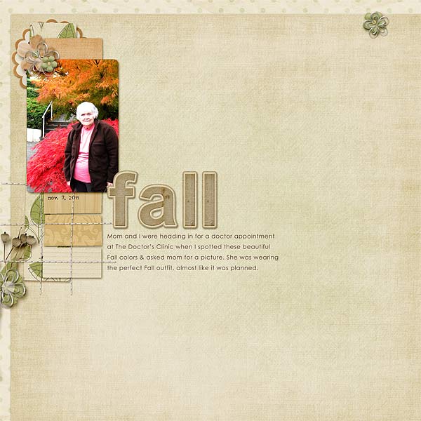 216-11-11-FallByCFALBRO