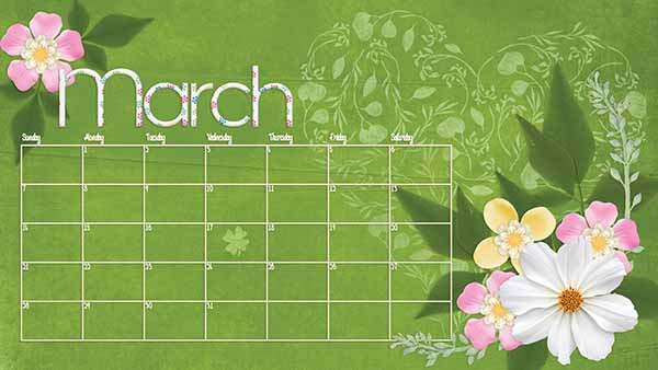 21Feb-brush