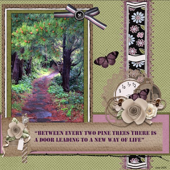 23e - June 2025 -Quote Challenge -Pine trees.jpg