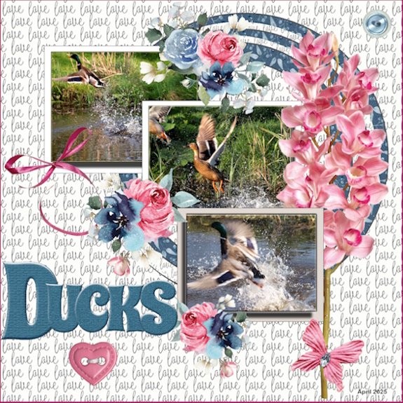 26 - April 2025 Scrap-Lift Challenge - Ducks.jpg