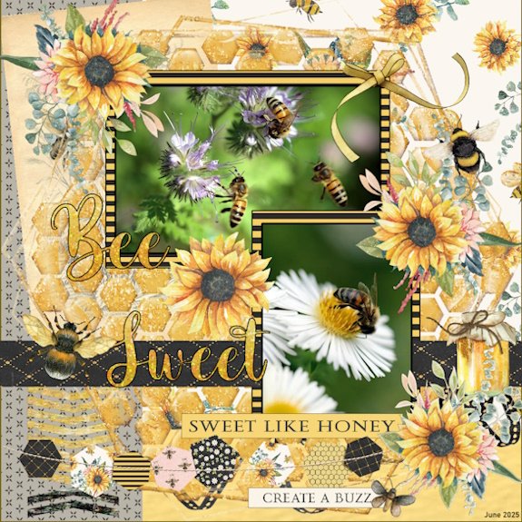 26e -June 2025 Scrap-Lift Challenge - BEES...jpg