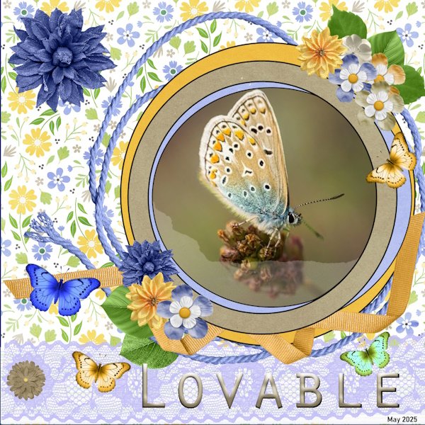 27e-May 2025 Template Challenge -1 -Lovable.jpg