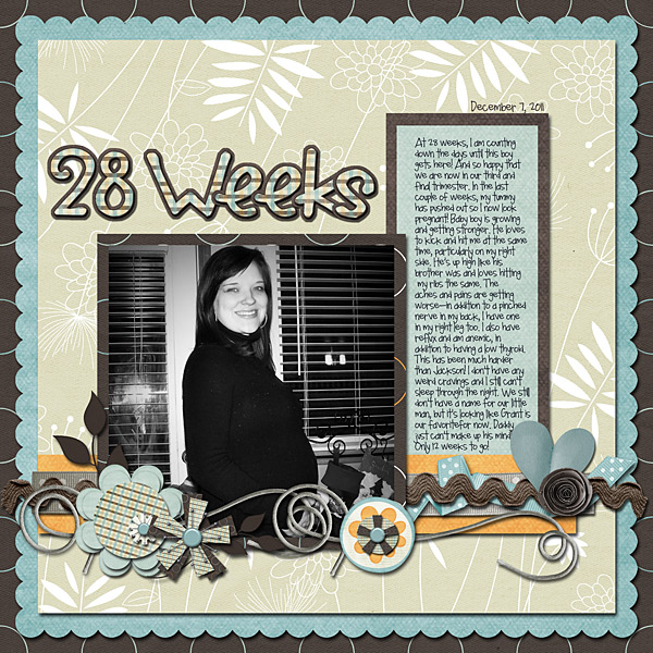 28 Weeks