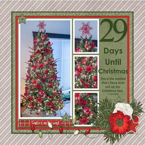 29 Days