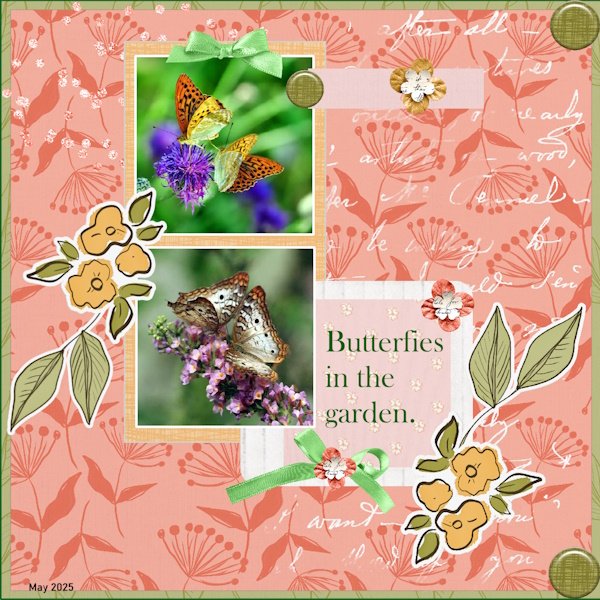 29e-May 2025 Template 3 Challenge -Butterflies..jpg