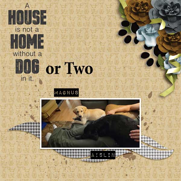 2_dogs