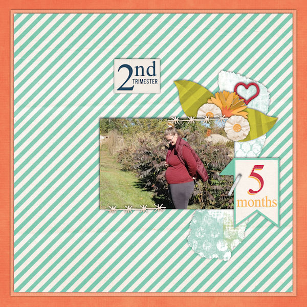 2nd Trimester