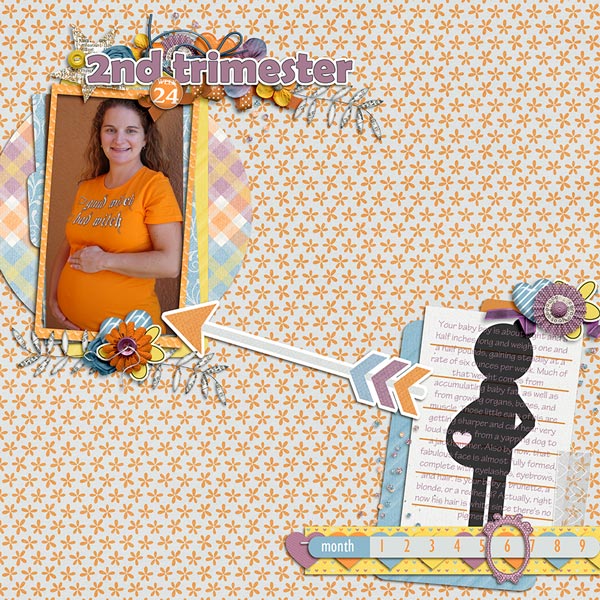 2nd Trimester