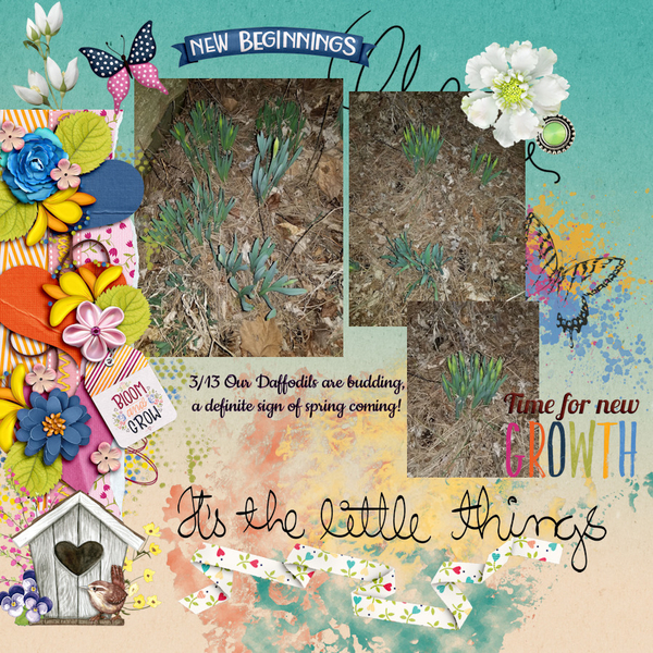 3/2021 Inspiration Challenge