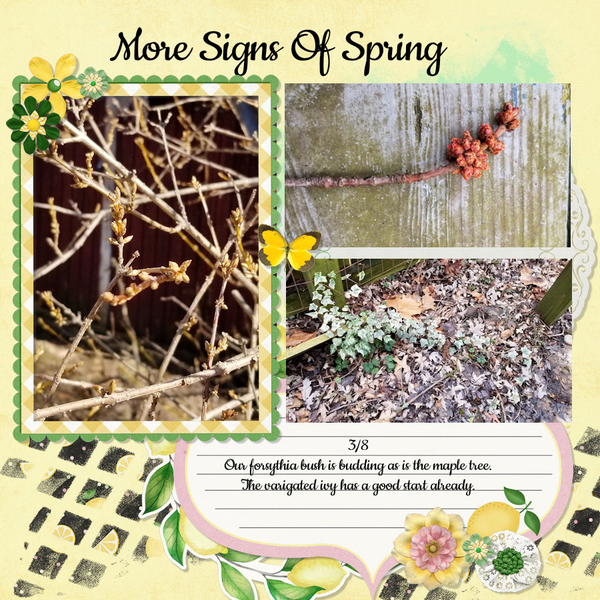 3/2022 Designer Spotlight - North Meets South