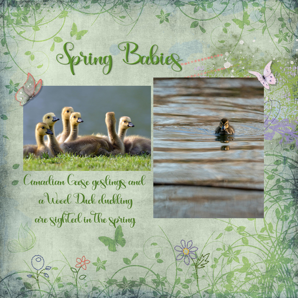 3/2022 Inspiration Challenge - Font
