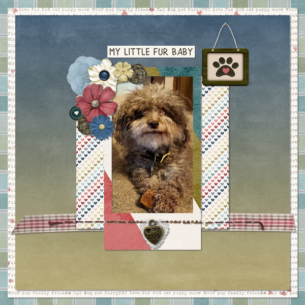 3/2023 My Memories - My Little Fur Baby