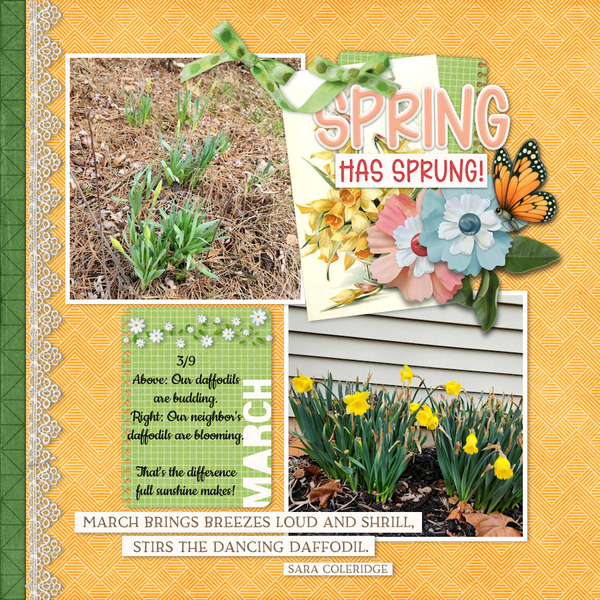 3/2024 #2024 March Challenge with Connie Prince