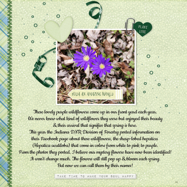 3/2024 Daily Download Challenge