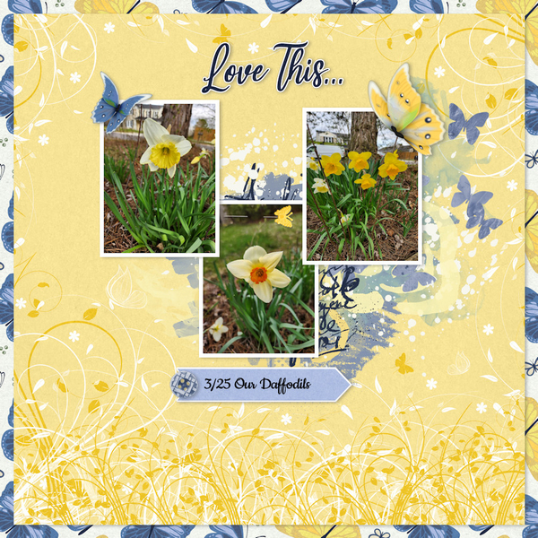 3/2024 Inspiration Challenge