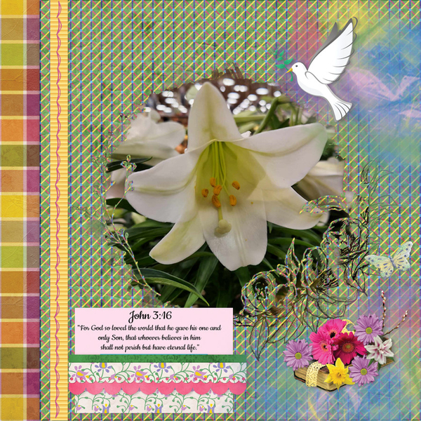 3/2024 Photomask Challenge