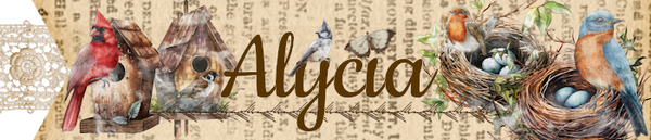 3/2024 Siggy Challenge